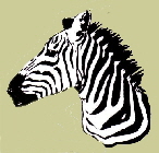 zebra-silhouette-1322127 zebra-silhouette-1322127